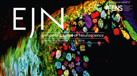 Eur J Neurosci